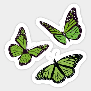 Beautiful soft green butterfly illustrations Sticker
